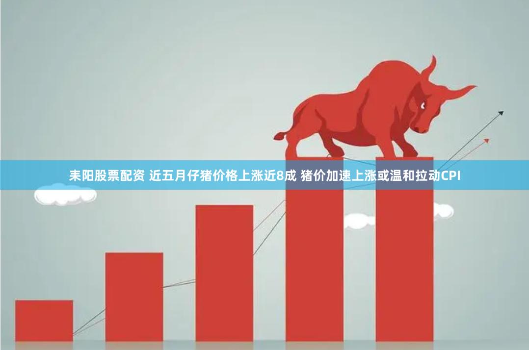 耒阳股票配资 近五月仔猪价格上涨近8成 猪价加速上涨或温和拉动CPI
