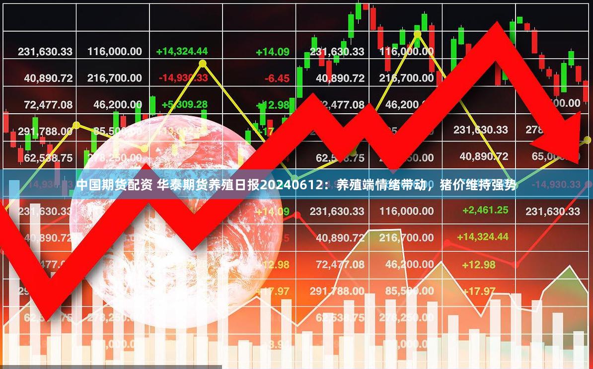 中国期货配资 华泰期货养殖日报20240612：养殖端情绪带动，猪价维持强势