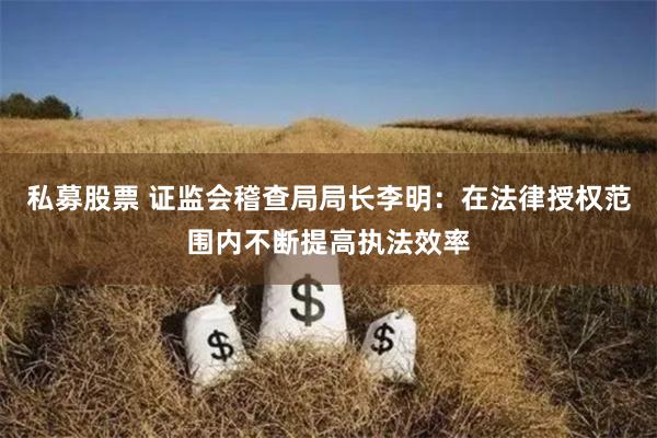 私募股票 证监会稽查局局长李明:在法律授权范围内不断提高执法效率