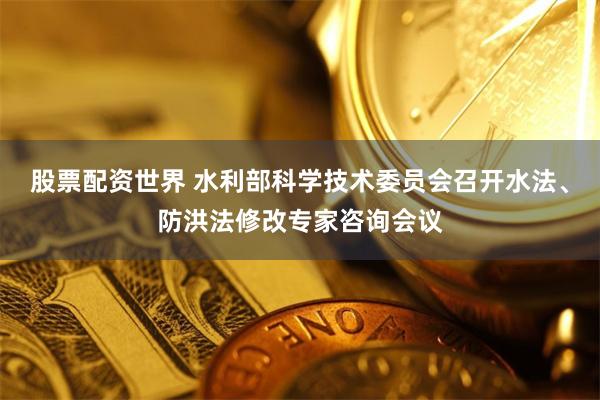 股票配资世界 水利部科学技术委员会召开水法、防洪法修改专家咨询会议