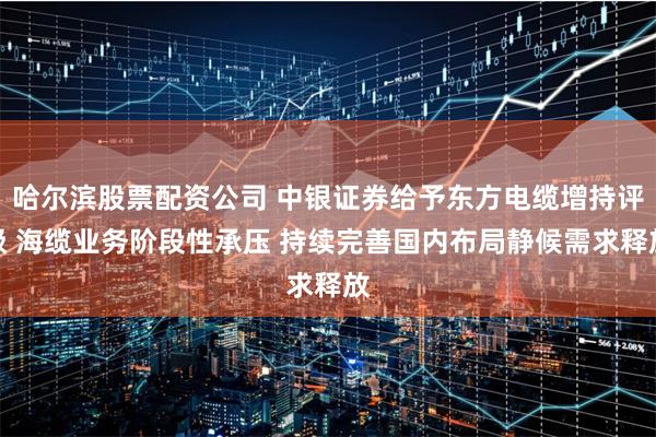 哈尔滨股票配资公司 中银证券给予东方电缆增持评级 海缆业务阶段性承压 持续完善国内布局静候需求释放