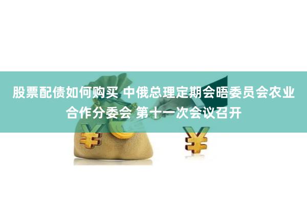 股票配债如何购买 中俄总理定期会晤委员会农业合作分委会 第十一次会议召开
