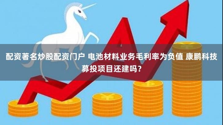 配资著名炒股配资门户 电池材料业务毛利率为负值 康鹏科技募投项目还建吗?