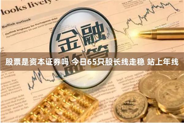 股票是资本证券吗 今日65只股长线走稳 站上年线