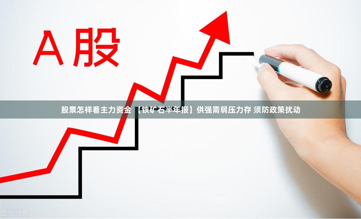 股票怎样看主力资金 【铁矿石半年报】供强需弱压力存 须防政策扰动